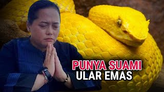 Download lagu Mbak You Menikah Dengan Ular Emas, Begini Ceritanya mp3 Download lagu Mbak You Menikah Dengan Ular Emas, Begini Ceritanya mp3