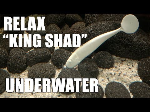 Relax: King Shad! Lure action! Underwater! Full HD