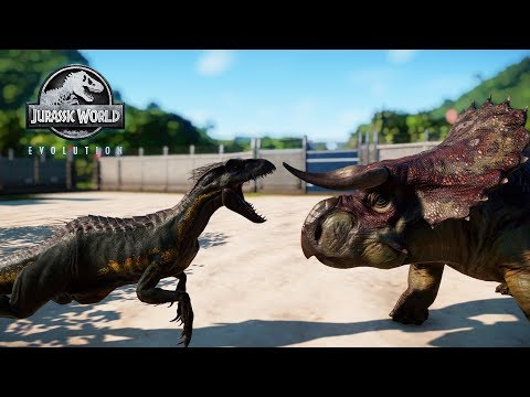 ALL NASUTOCERATOPS ANIMATIONS (INCLUDING BUGS) | JURASSIC WORLD: EVOLUTION