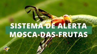 Miniatura do vídeo