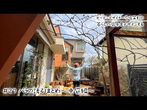 庭の小さな黄色い花春夏栽培マリーゴールド ローズ