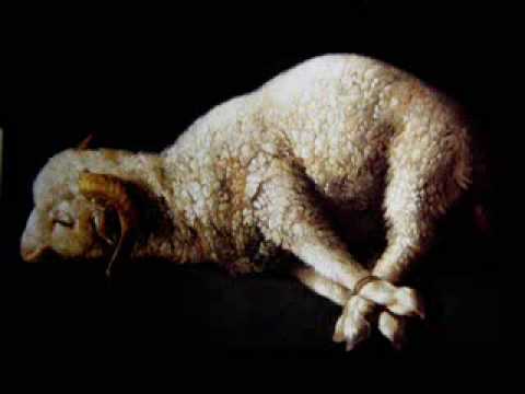 Javier Busto: Agnus Dei