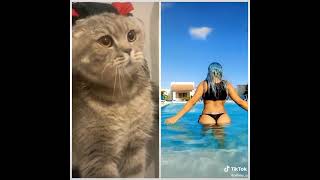 Kedi Bile Gözlerini Alamıyor #aliany_g  #Short #shorts #fyp