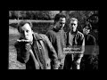 PIXIES  /   SILVER