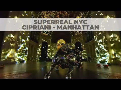 SuperReal Art Installation