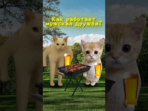 Как работает мужская дружба?