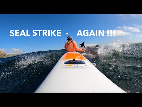 SURF-SKI: Seal Strike No2 ! (Millers 82)