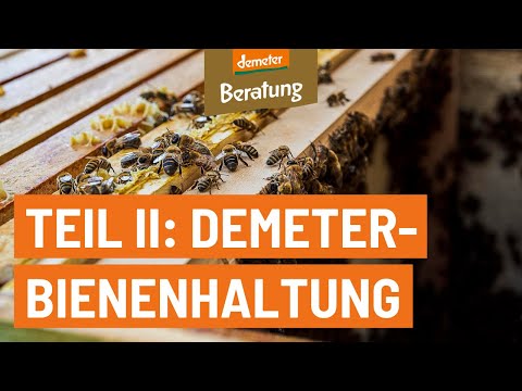 , title : 'Demeter-Bienenhaltung | Umstellung und Zertifizierung'