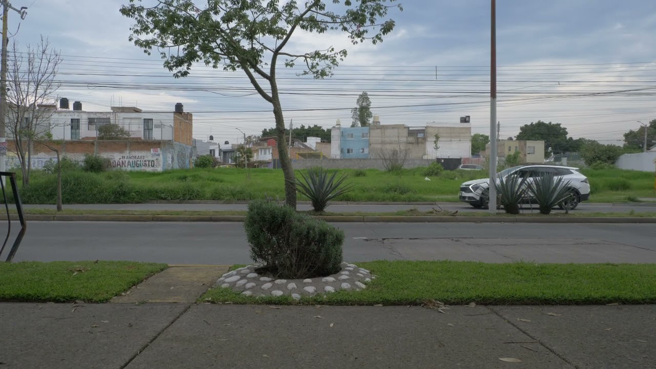 significantes, dos de cinco