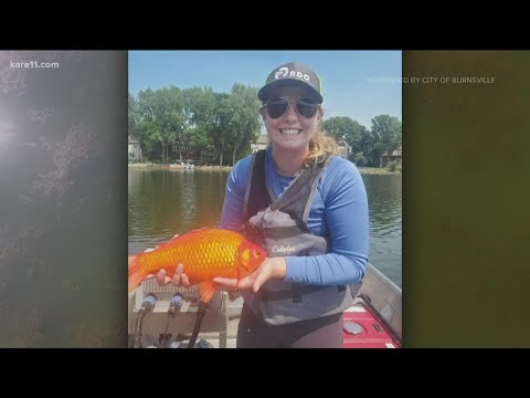 1st YouTube video about are goldfish nut free
