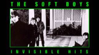 ソフト・ボーイズ - Invisible Hits - The Soft Boys