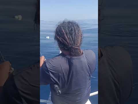 Digyo Island Inopacan, Leyte Philippines Jigging session 3.4 Ruby snapper by "THE PREDATOR ANGLER"