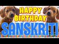 Happy Birthday Sanskriti! ( Funny Talking Dogs ) What Is Free On My Birthday