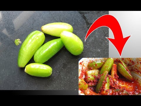 download lagu mp3 mp4 Goan Pickles, download lagu Goan Pickles gratis, unduh video klip Goan Pickles