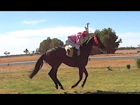 download lagu mp3 mp4 Horse Race Galloping Sound Effects, download lagu Horse Race Galloping Sound Effects gratis, unduh video klip Horse Race Galloping Sound Effects
