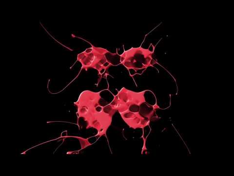 Taylor Square & Peyton - Run Away With You (Ibiza To Sydney Mix Radio Edit)