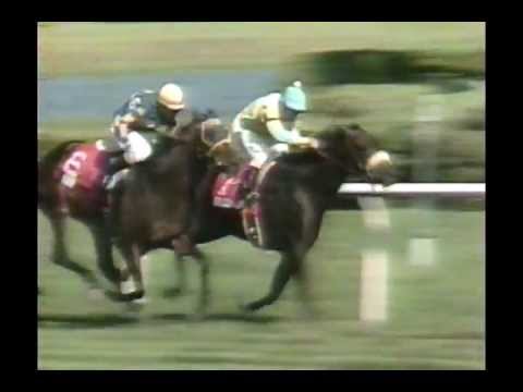 1995 Sword Dancer Invitational - Kiri's Clown