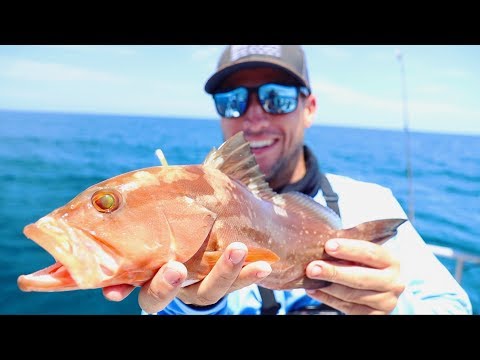 Fishing For Exotic Deep Sea Species!!!