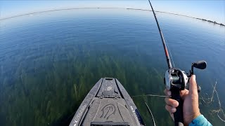 84 fish day in a legendary spot
