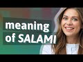 Salami Meaning Of Salami