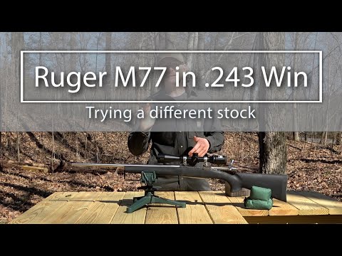 Ruger M77 in .243: Trying a different stock