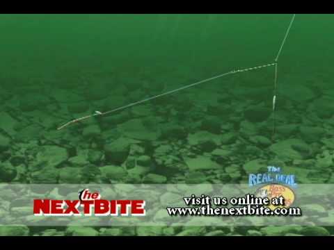 Bottom Bouncer and Spinner Variations - The Next Bite - The Real Deal - Season 3