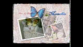 Tiger Rag:  Munchie Mac and Hughes