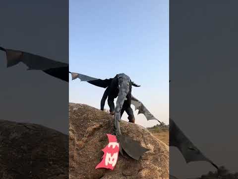 Como treinar seu dragão 🐉 😂😂 #comedy #comediamemes #comedia #humor #meme #comotreinaroseudragão