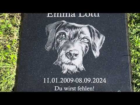 Custom Engraved Pet Memorial Stones: Honoring Your Beloved Pets