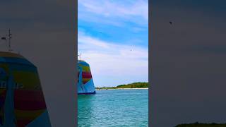 Norwegian Aqua 🛳️#like #share #comment #subscribe #cruiseship #cruise #vacation #shorts #short #wow