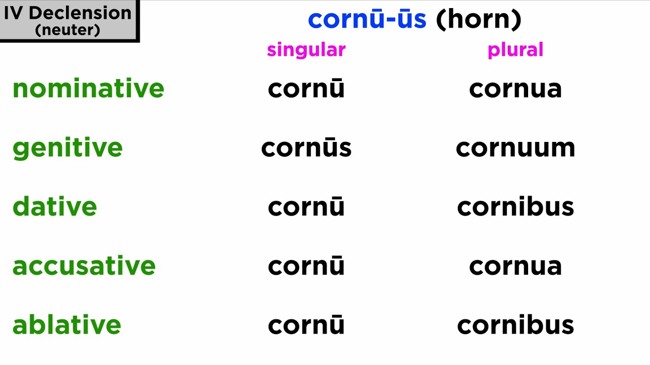Fourth Declension Nouns in Latin Part 2: Neuter Nouns