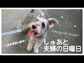 日曜日 まったりファミリーDAYはツーリング 信貴山へ