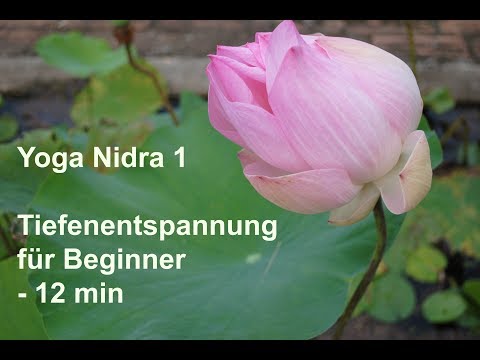 Yoga Nidra 1 - Deep relaxation in 12 minutes