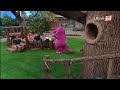 Barney Y Sus Amigos Temporada 4 Episodio 14 Árboles Magníficos Clip En Árabe HD