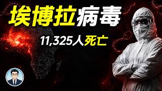 埃博拉病毒：從雨林深處走出的死亡陰影｜2014西非大疫情