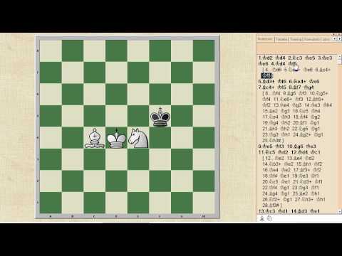 LEZIONE DI SCACCHI - N° 27