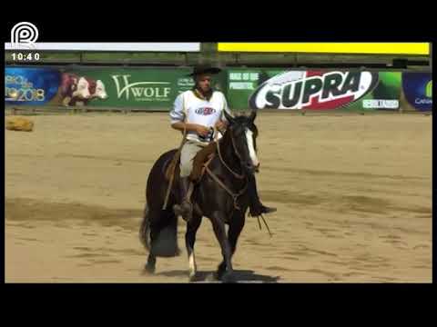 Bocal de Ouro Esteio (RS) – 5° lugar fêmeas – Malícia 608 da Reconquista