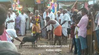 preview picture of video 'Nagamangalam Mandhaiyamman Kovil Thiruvizha 2019'