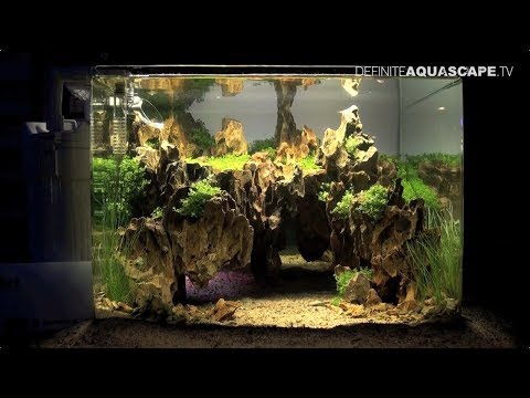 The Art of the Planted Aquarium 2017 - Nano tanks 14-16