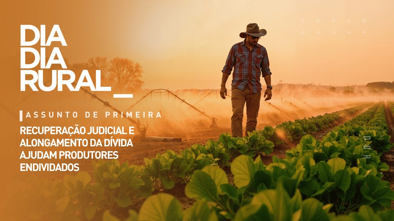 Recuperação judicial e alongamento da dívida ajudam produtores endividados