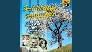 Der Mai ist gekommen