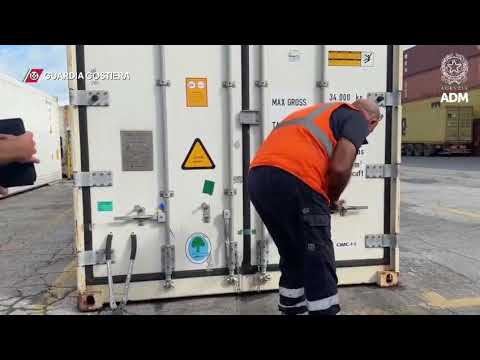 Porto di Livorno, sequestrate 20 tonnellate di prodotti ittici irregolari