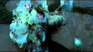 &quot;Bridle&quot; - Sage Francis (fan video)