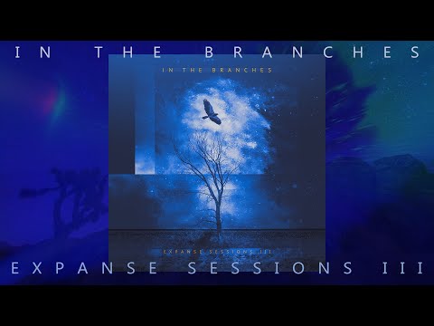 In The Branches - Expanse Sessions III (Full Album) 4K Ambient Guitar Music