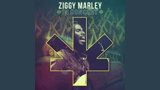 Higher Vibrations (Live)