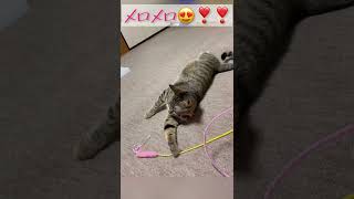 ❣️😻❣️😻❣️😻❣️😻❣️