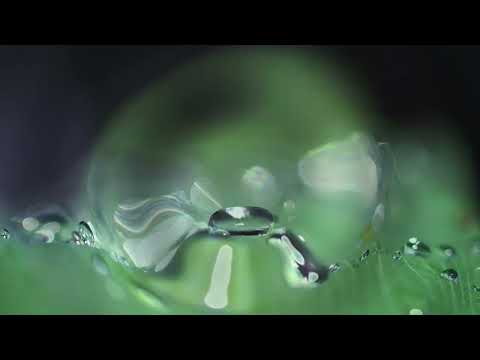 While We're Young (Wilder) Backing track + music sheet