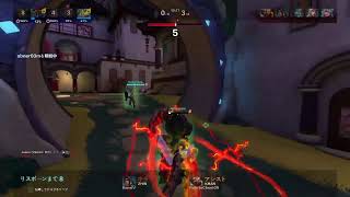 パラディンズ[Paladins]　バスクチーズケーキをすこれ
