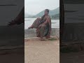 Mera Pardesi Na Aaya