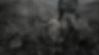 Vox  Populi el circo-Regulo Caro